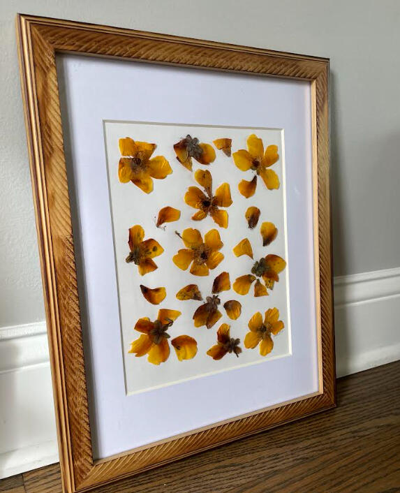 frame #010 15 1/2"x12 1/2" $80